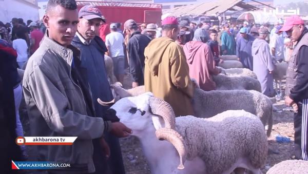 الناس لي عزيز عليهم المليح: شوف أحسن حولي بوكوص فالسوق