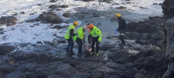 مساعي لتسريع استرجاع جثت المغاربة ضحايا "لانزاروتي" من الكناري