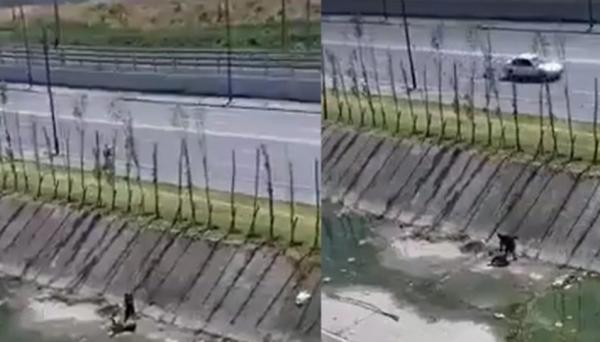 شرطة طنجة تخضع شريط "واد مغوغة" لبحث ميداني وخبرة تقنية