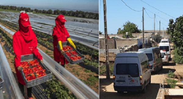 ألف إصابة بفيروس كورونا في منطقة الغرب بسبب البؤر الصناعية