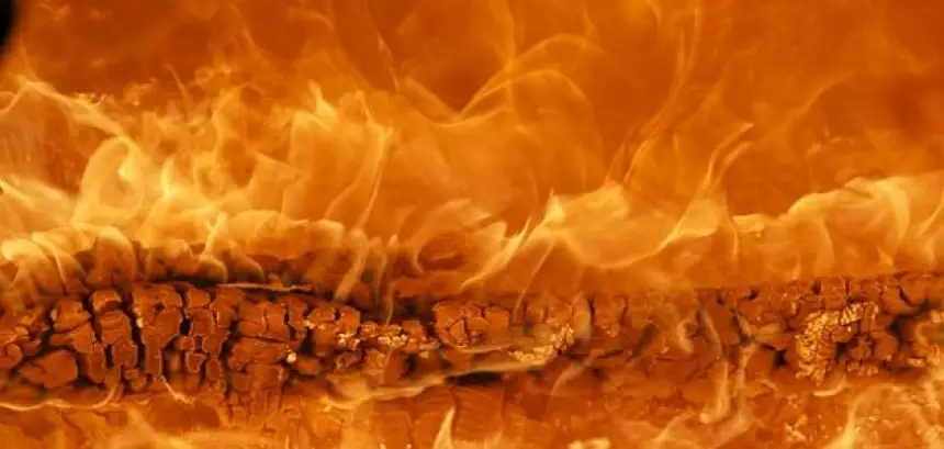 Sorry! Image not available at this time