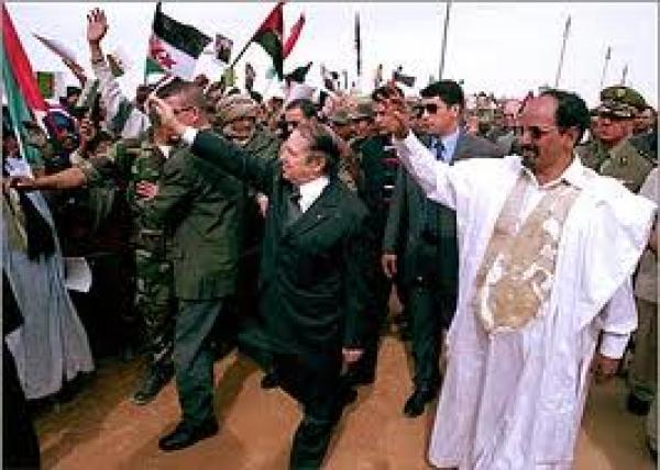 كيف تمّ إحراج البوليساريو في أروقة الأمم المتحدة في جنيف؟