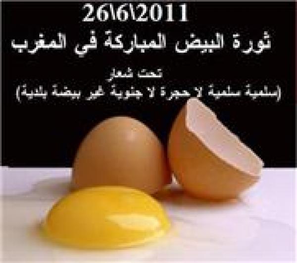 حرب البيضجية: الجناح الحربي