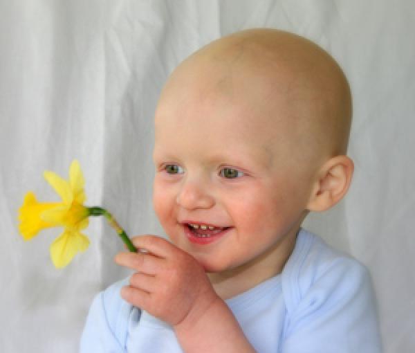 استخلاص أجسام مضادة من «الإبل» لعلاج السرطان