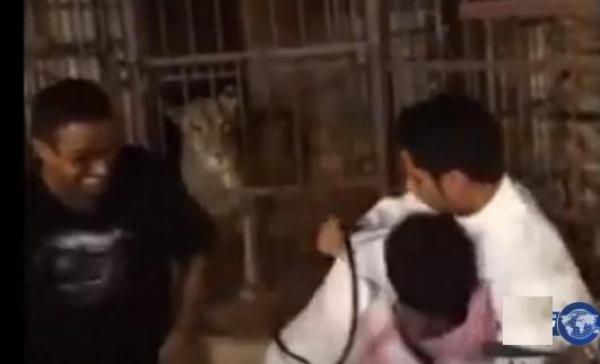 بالفيديو: شابان يحاولان إلقاء صديقهما داخل قفص أسود