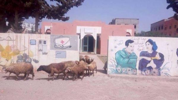 صدق أو لا تصدق .. مستوصف بأكادير يستقبل قطيع الأغنام عوض المواطنين(صورة)‎