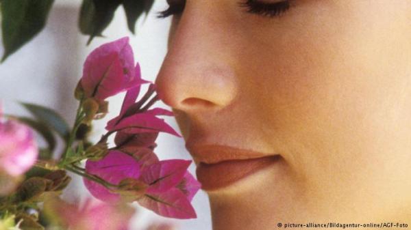 النبات لديه وسائل إدراك شبيهة بحواس الانسان