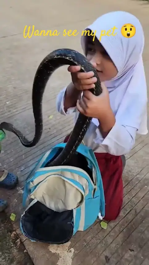 مشهد مرعب.. طفلة تخرج ثعبانًا ضخمًا من حقيبتها المدرسية (فيديو)