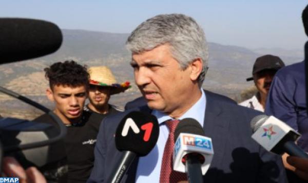 حرائق الغابات بشمال المملكة.. هذه تفاصيل ما قررته وزارة الفلاحة