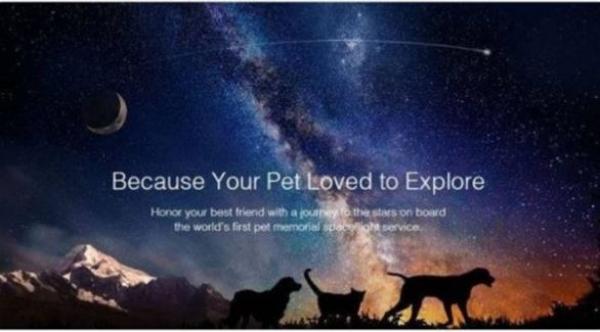 شركة تقدم خدمة دفن رفات حيوانك الأليف في الفضاء