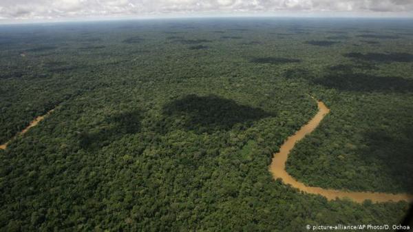 بعد 34 يوماً..إنقاذ امرأة وأطفالها في غابات الأمازون