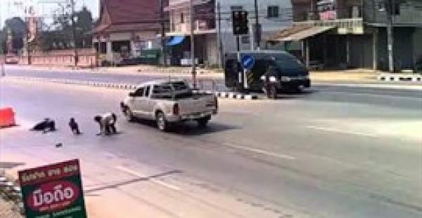 بالفيديو.. عائلة محظوظة تنجو من حادث مميت بأعجوبة