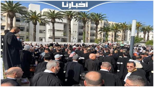 مسودة تنظيم مهنة المحاماة تخرج أصحاب البذلة السوداء للاحتجاج
