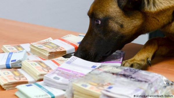 ارتفاع إيرادات الضريبة المفروضة على اقتناء الكلاب بألمانيا يدر مئات الملايين على خزينة الدولة