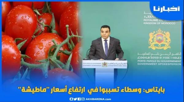 بايتاس: وسطاء تسببوا في ارتفاع أسعار "ماطيشة" وسينخفض ثمنها في الأيام القادمة