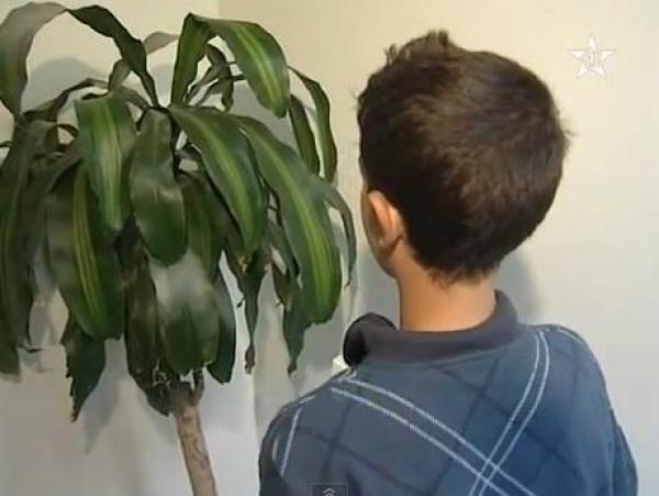 شهود عن حادث حي بوخالف بطنجة