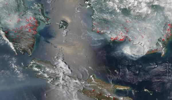 الأرصاد الأسترالية تتوقع حدوث ظاهرة "النينيو" في فبراير المقبل