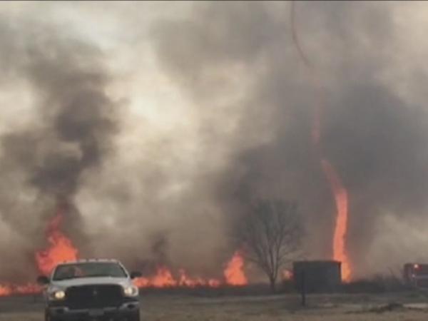 بالفيديو: هذا ما يحدث عندما تهب زوبعة على حريق في الغابة