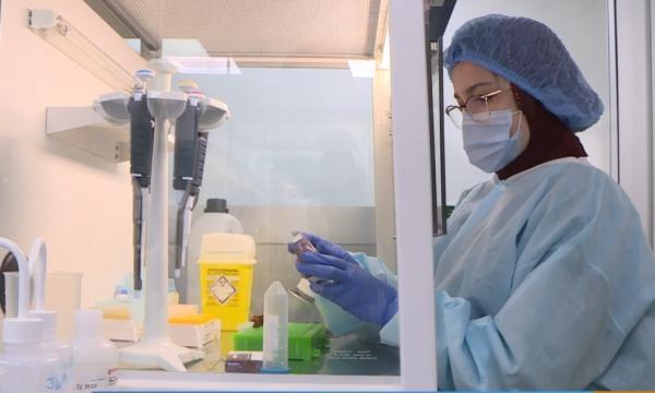 أول اختبار مغربي 100 % سيحمي جزءا كبيرا من الساكنة من التهاب الكبد الوبائي سي