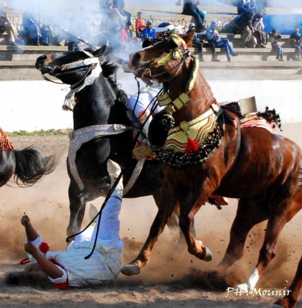 عرض للتبوريدة يتحول إلى مأتم بعد انفجار بندقية فارس وبتر إصبعه