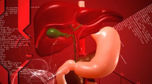 4 أعشاب تحمي الكبد من الأمراض