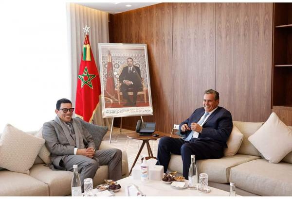 أخنوش يعقد اجتماعا مع الرئيس المدير العام لمجموعة التعاضدية الفلاحية المغربية للتأمين والتعاضدية المركزية المغربية للتأمين