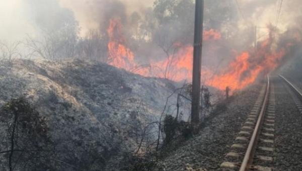 الصورة من الفايسبوك