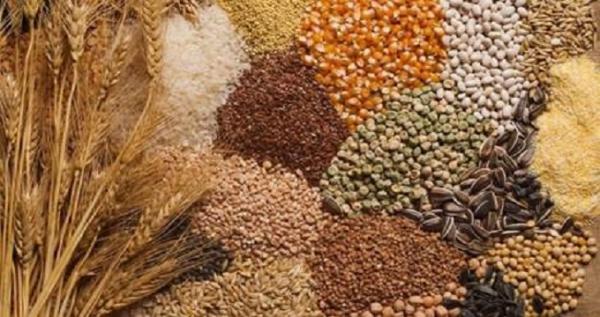 الجفاف يتسبب في ارتفاع غير مسبوق لأسعار القطاني والحبوب والأعلاف