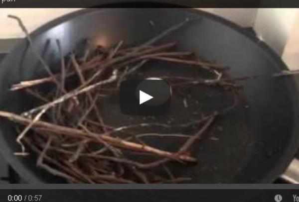 بالفيديو: حمامة تقتحم منزلاً وتضع بيضها في المقلاة