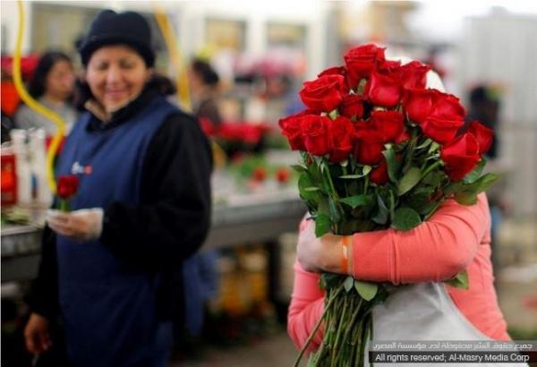 توقعات ببيع «20 مليون وردة وهدايا بـ100 مليون يورو» بعيد الحب بالنمسا