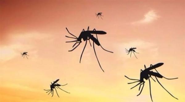 علماء بريطانيون ينجزون المهمة الصعبة.. حصر عدد الحشرات المهاجرة