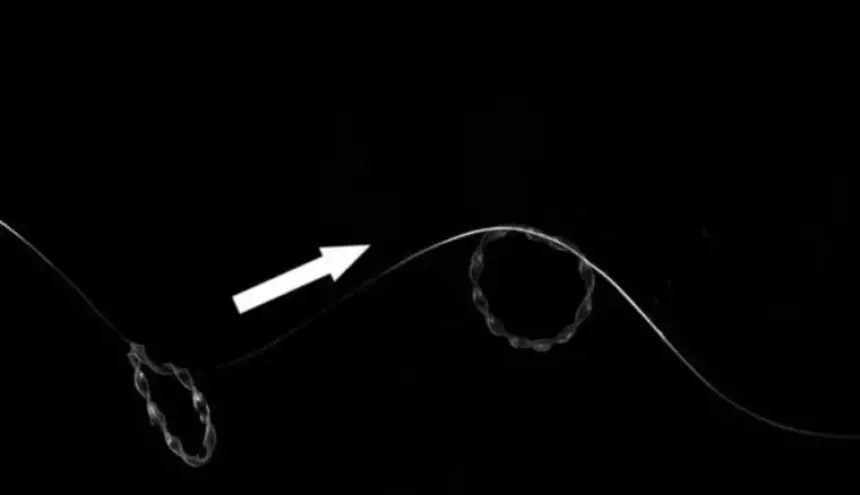 روبوت صغير يتحرك بالضوء فقط: ابتكار ثوري دون بطاريات أو محركات