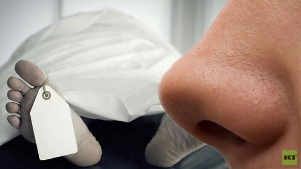 العلماء يحددون رائحة الموت