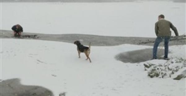 سيدة تقفز في بحيرة جليد لإنقاذ كلب (فيديو وصور)