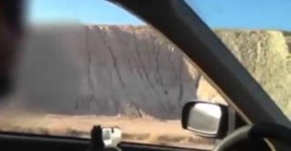 بالفيديو.. جندي إسرائيلي يقتل جمل بالرصاص يغضب مواقع التواصل