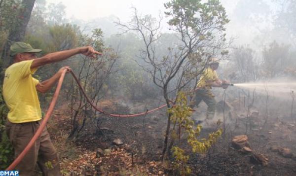 إقليم شفشاون.. التحكم “نسبيا وبشكل عام” في محيط النيران بالمنطقة الغابوية بجماعتي تاسيفت وتلمبوط