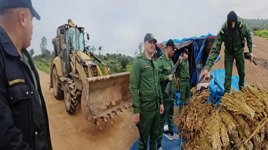 بالتراكس وسيارة تمويه.. كومندو الدرك ببوزنيقة يضرب بقوة ويفكك 4 أوكار مخدرات بواد نفيفخ