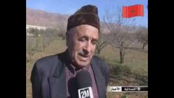 زراعة شجرة اللوز بالمغرب