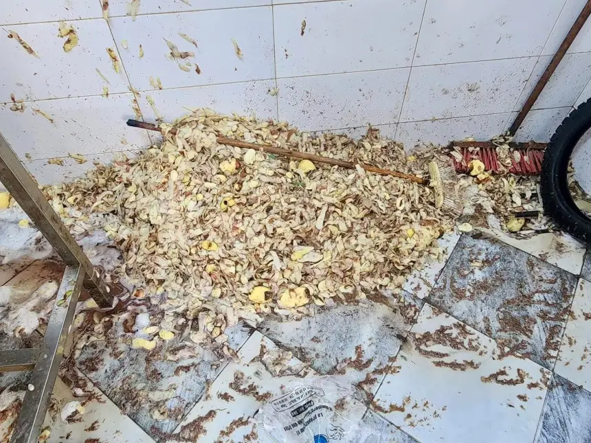 حجز أكثر من طن من البطاطس المجهولة المصدر في عملية تفتيش صادمة بمدينة الفنيدق