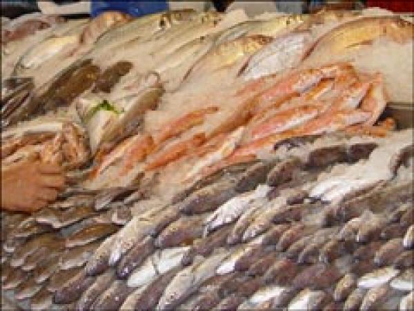 الباعة يتوقعون ارتفاع أسعار السمك في رمضان رغم وفرة العرض