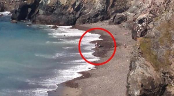 بالفيديو: أراد إنقاذ دلفين.. فاكتشف أنه سمكة قرش