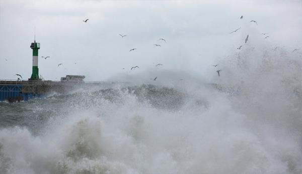 العاصفة "مايكل" على وشك اجتياح أمريكا