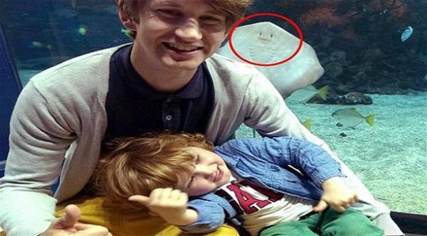 سمكة بشوشة تبتسم لعدسات الكاميرا