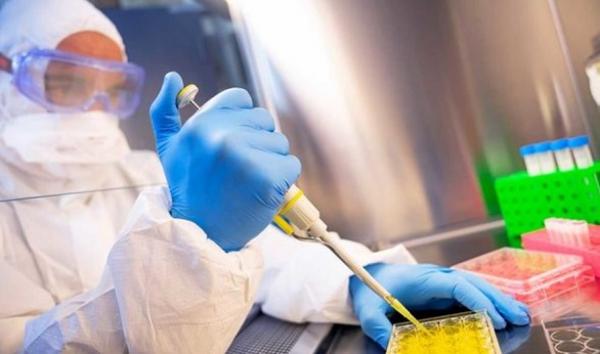 دراسة: كورونا خضعت لطفرات في وقت مبكر جعلتها أكثر قدرة على الانتشار