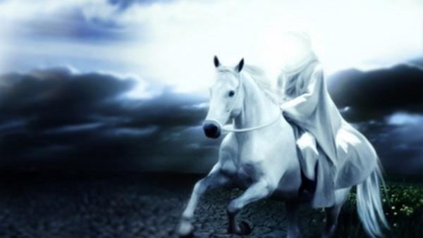 المهدى المنتظر.. كما وصفه النبي الله صلى الله عليه وسلم