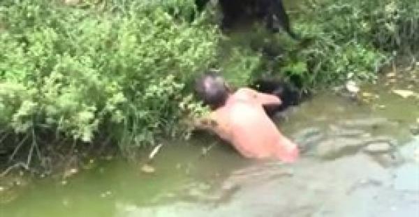 بالفيديو.. قرود تهاجم رجلا سكيرا وتصيبه في حديقة حيوان مانيلا