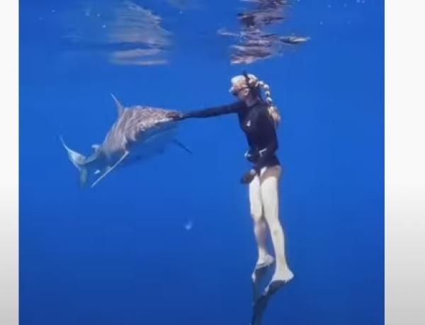 تنجو من هجوم قرش ضخم بطريقة لاتخطر على بال (فيديو)