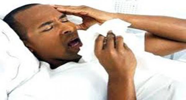 «الأوكالبتوس».. أفضل علاج لأنفلونزا الصيف