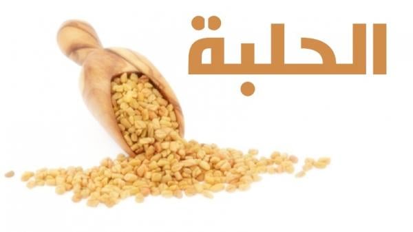 فوائد "الحلبة" الصحية والتى لا غني عنها