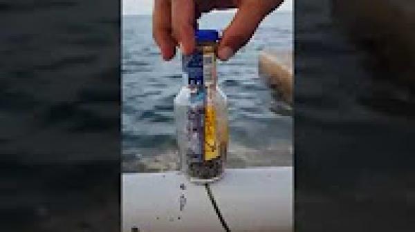 شاهد ماذا وجدوا في كورنيش الناظور